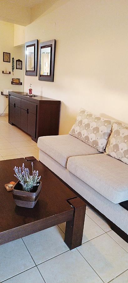 Holiday & Business Furnished Apartments 米提卡斯 外观 照片